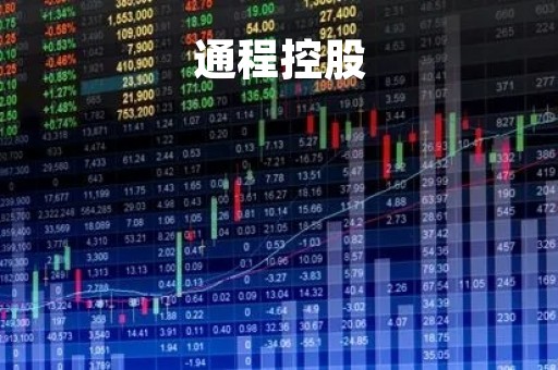 通程控股「通程控股免税牌照」