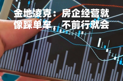 金地凌克：房企经营就像踩单车，不前行就会跌落 房企需要新投资