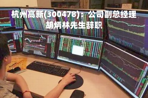 杭州高新(300478)：公司副总经理胡炳林先生辞职