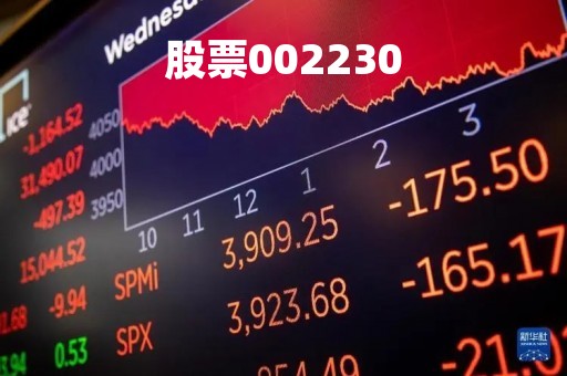 股票002230「股票002158」