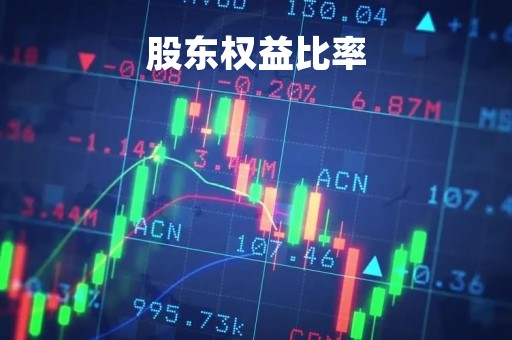 股东权益比率「股东权益比率是什么意思」