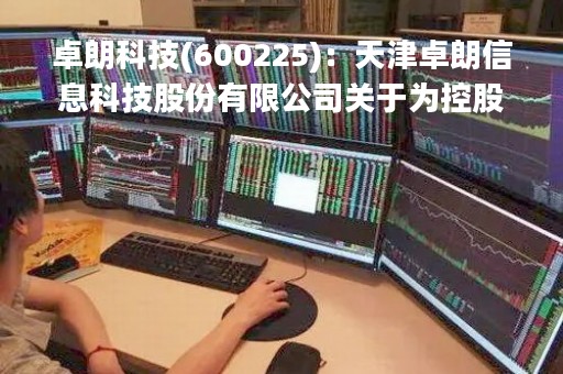 卓朗科技(600225)：天津卓朗信息科技股份有限公司关于为控股子公司融资业务提供担保的公告