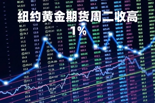 纽约黄金期货周二收高1%