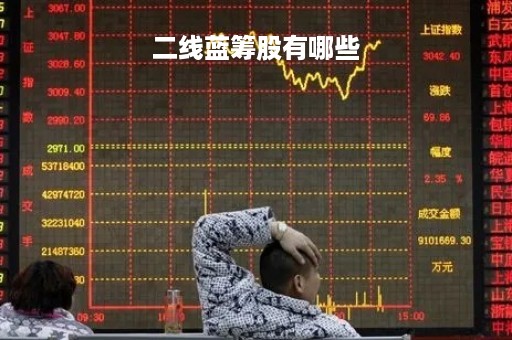 二线蓝筹股有哪些「二线蓝筹龙头股有哪些」