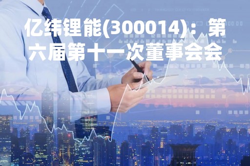 亿纬锂能(300014)：第六届第十一次董事会会议决议，审议《关于公司符合创业板向不特定对象发行可转换公司债券条件的议案》等议案