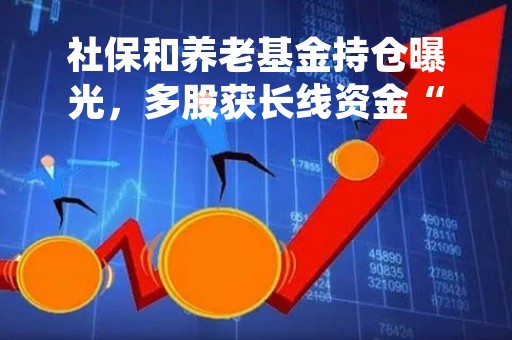 社保和养老基金持仓曝光，多股获长线资金“潜伏”