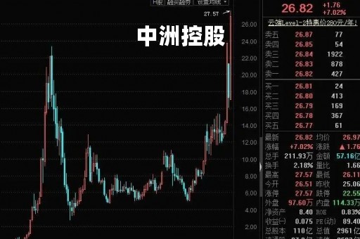 中洲控股「中洲控股股吧」