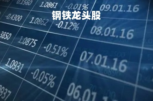 钢铁龙头股「钢铁龙头股票有哪些2022」
