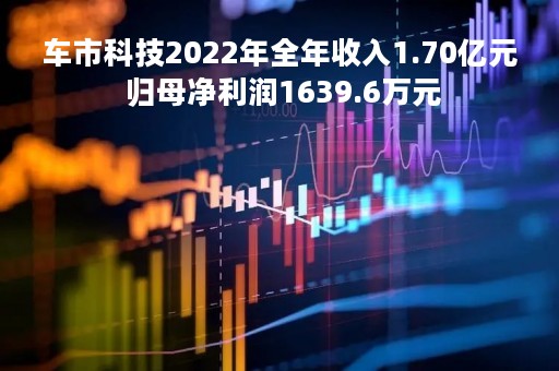 车市科技2022年全年收入1.70亿元 归母净利润1639.6万元