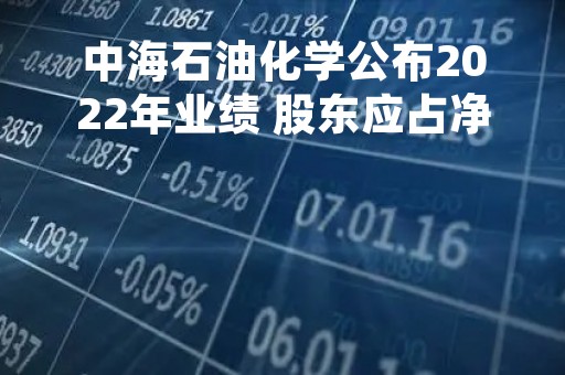 中海石油化学公布2022年业绩 股东应占净利润为16.43亿元同比增长9.68%