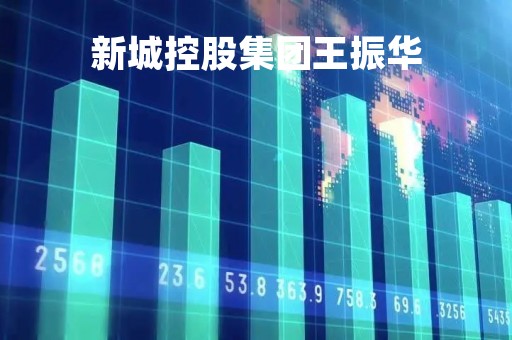 新城控股集团王振华「新城控股 王振华」