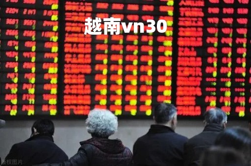 越南vn30「越南vn30基金今日行情」