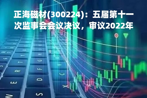正海磁材(300224)：五届第十一次监事会会议决议，审议2022年度监事会工作报告等议案