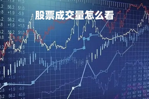 股票成交量怎么看「股市入门常识」