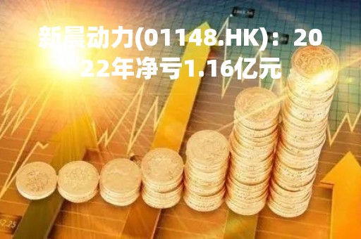 新晨动力(01148.HK)：2022年净亏1.16亿元