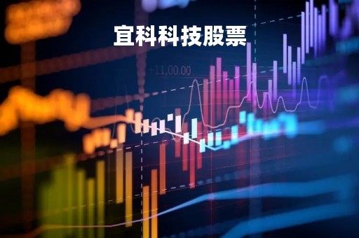 宜科科技股票「宜科科技改名」