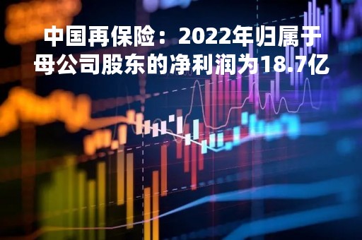 中国再保险：2022年归属于母公司股东的净利润为18.7亿元 同比降68.57%