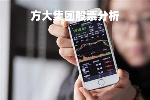 方大集团股票分析「方大集团000055股票分析」