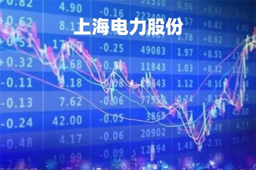 上海电力股份「金能电力股份有限公司」