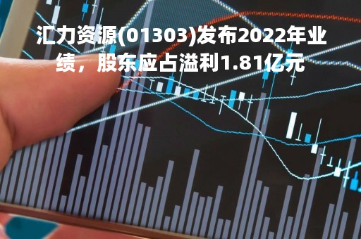 汇力资源(01303)发布2022年业绩，股东应占溢利1.81亿元
