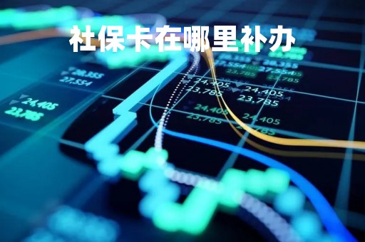 社保卡在哪里补办