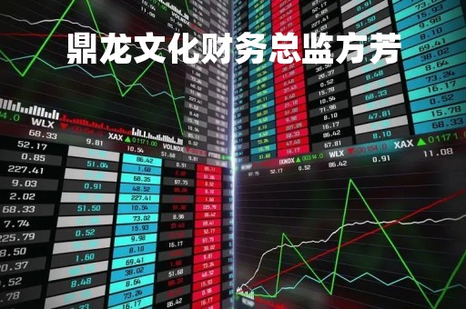 鼎龙文化财务总监方芳「鼎龙文化财务总监方芳年薪」