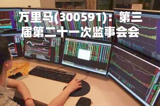 万里马(300591)：第三届第二十一次监事会会议决议，审议关于募集资金投资项目延期的议案