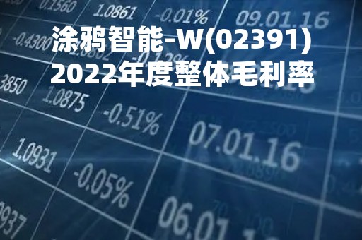 涂鸦智能-W(02391)2022年度整体毛利率上升至43.0%