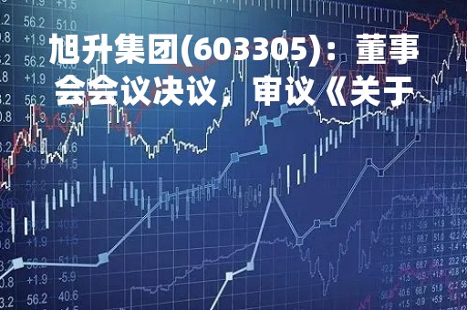旭升集团(603305)：董事会会议决议，审议《关于公司在香港对外投资设立子公司及孙公司的议案》等议案