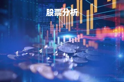 股票分析「股票分析报告」