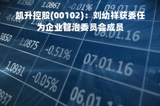 凯升控股(00102)：刘幼祥获委任为企业管治委员会成员