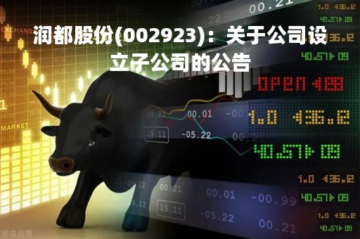 润都股份(002923)：关于公司设立子公司的公告