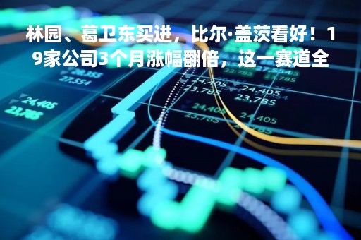 林园、葛卫东买进，比尔·盖茨看好！19家公司3个月涨幅翻倍，这一赛道全年行情已确定？！