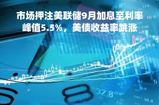 市场押注美联储9月加息至利率峰值5.5%，美债收益率跳涨