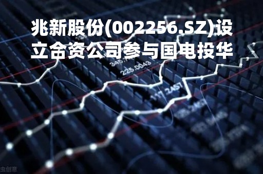 兆新股份(002256.SZ)设立合资公司参与国电投华泽竞拍 拓展光伏能源电站业务