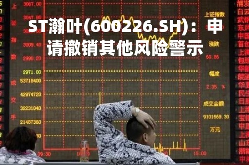 ST瀚叶(600226.SH)：申请撤销其他风险警示