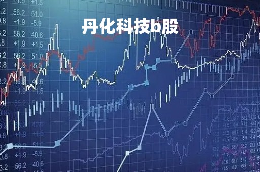 丹化科技b股「丹化科技这支股怎么样」