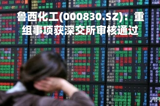 鲁西化工(000830.SZ)：重组事项获深交所审核通过