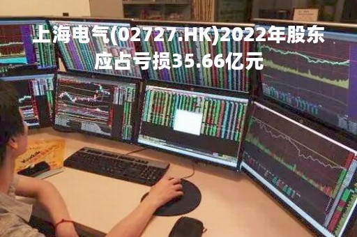 上海电气(02727.HK)2022年股东应占亏损35.66亿元