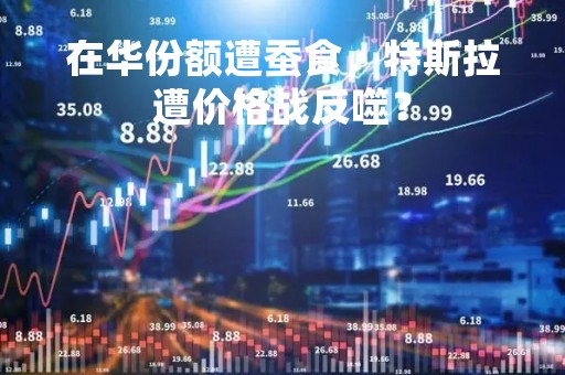 在华份额遭蚕食，特斯拉遭价格战反噬？