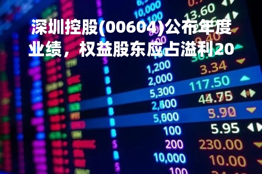 深圳控股(00604)公布年度业绩，权益股东应占溢利20.9亿港元 同比亏转盈