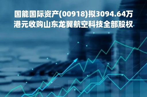 国能国际资产(00918)拟3094.64万港元收购山东龙翼航空科技全部股权