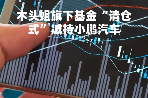 木头姐旗下基金“清仓式”减持小鹏汽车
