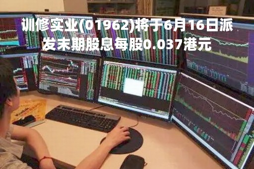 训修实业(01962)将于6月16日派发末期股息每股0.037港元
