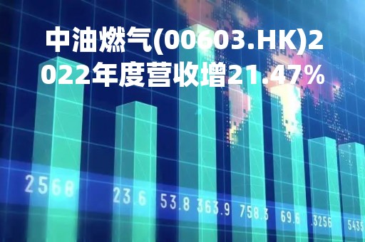 中油燃气(00603.HK)2022年度营收增21.47%至174.21亿港元