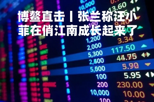 博鳌直击丨张兰称汪小菲在俏江南成长起来了，有担当了