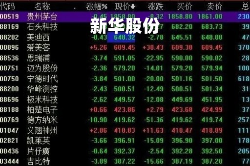 新华股份