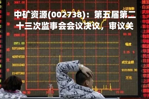 中矿资源(002738)：第五届第二十三次监事会会议决议，审议关于使用自有资金增加部分募投项目投资总额暨投资建设津巴布韦Bikita200万吨/年改扩建工程的议案等议案