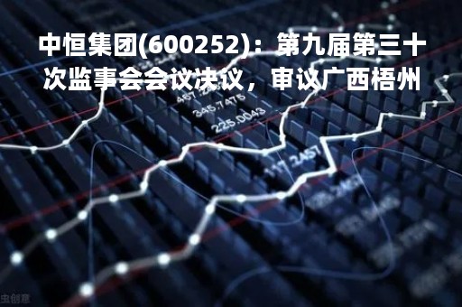 中恒集团(600252)：第九届第三十次监事会会议决议，审议广西梧州中恒集团股份有限公司2022年年度报告（全文及摘要）等议案
