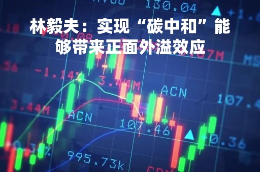 林毅夫：实现“碳中和”能够带来正面外溢效应